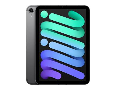 Apple iPad mini Wi-Fi + Cellular 256GB - Space Grey (MXPT3NF