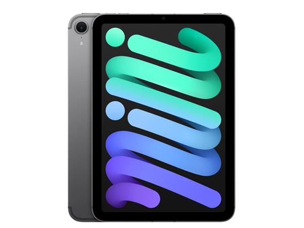 iPad本体 iPad mini 5 Wi-Fi+Cellular 256GB Apple iPad Mini 5 Renewed 256GB Wi-Fi + Cellular Space Gray
