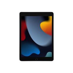 Apple 12.9-Inch iPad Pro (Latest Model) with Wi-Fi 1TB Space Gray